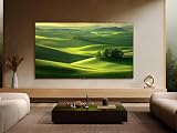 TCL Téléviseur 50Q7C 50 Pouces QD-Mini LED, 4K HDR Premium 2000, Smart TV optimisé par Google TV (Dolby Vision IQ & Atmos, Dalle HVA, Motion Clarity Pro 144 Hz, Game Master, Apple AirPlay 2 et Alexa) - 13