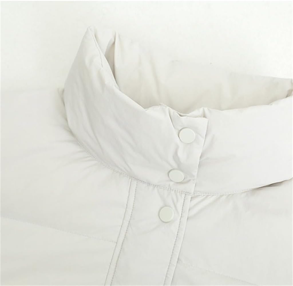 Winter Long-Sleeved Single-Breasted Windproof High Collar Short Loose Type Hairless Down Jacket Women