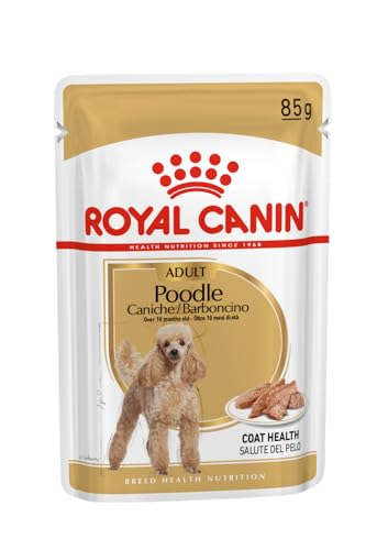 Royal Canin Poodle Adult | 12 x 85 g | Alimento umido per barboncini adulti e anziani | A partire da 10 mesi di età | Per il mantenimento del pelo | Con una consistenza gustosa