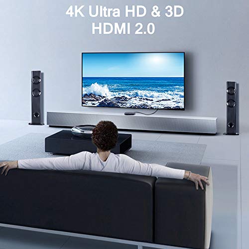 Balaweis 4K 60Hz 10Ft High Speed Hdmi 2.0 Cable Cord Compatible With Pc Uhd Tv Blu-Ray Ps4 Ps3 Projector Ethernet X-Box Fire Netflix Lg Samsung Ect #TOP7