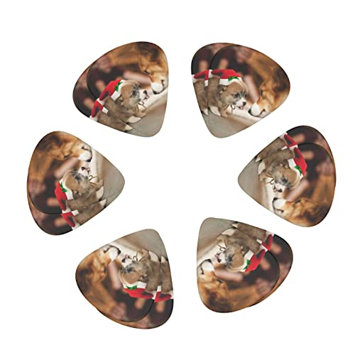 Médiators de guitare 12-Pack médiators de guitare Corgi mignons pour guitare électrique guitare acoustique diverses… - Les Beatles, Paul McCartney, John Lennon, RIngo Starr, George Harrison Médiators de guitare 12-Pack médiators de guitare Corgi mignons pour guitare électrique guitare acoustique diverses…