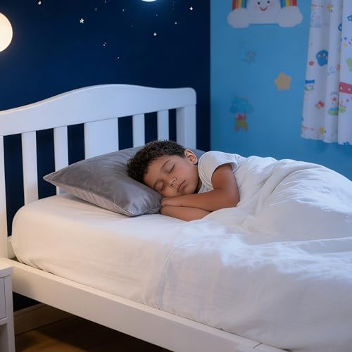 Image of NTBAY 2 Pack Pillows with Velvet Pillowcases, Soft Cotton Down Alternative 13x18 Zippered Pillows for Sleeping in Crib Bed - Machine Washable - Breathable Travel Pillow, Smoke Grey