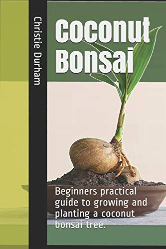 Coconut Bonsai: Beginners practical guide to growing and planting a coconut bonsai tree.