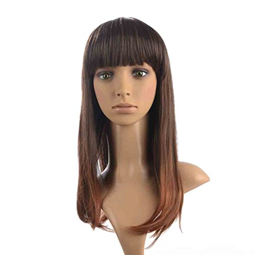Namecute Ombre Wig Dark Brown to Blonde Long Straight Full Cap Synthetic Wigs for Women Flat Bangs