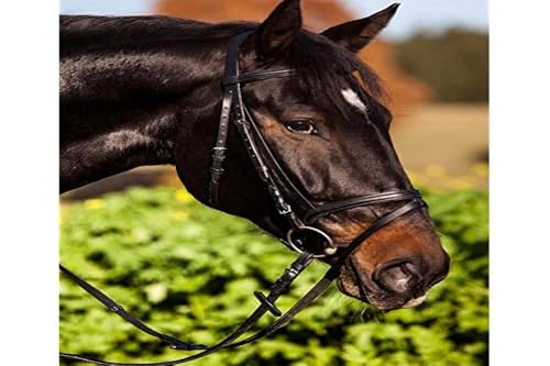 Kerbl 321743 Trensenzaum Standard Leder für Vollblut, braun