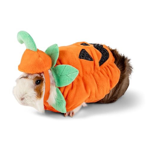 Disfraz Calabaza para Mascotas Pequeñas