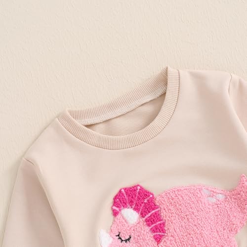 Toddler Baby Girl Clothes Fall Outfit Long Sleeve Fuzzy Dinosaur Embroidery Sweatshirt Top Pants Set4