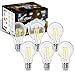 Aigostar LED E27 Vintage Glühbirne 6W (Ersetzt 58W), 780 Lumen, Kaltweiß 6500K, Abstrahlwinkel 330°, A60 Edison Lampe Filament Retro Transparent Flimmerfrei, CRI>80, 6 Stück