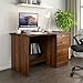 Nilkamal @Home Scholar Study & Office Desk | 1 Year Warranty | Multi-Purpose Workstation for Students