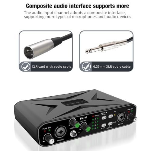 Fockety Scheda Audio USB Esterna, Interfaccia Audio 32bit 384KHZ con Preamplificatore Microfonico e Alimentazione Phantom 48V, per la Registrazione in Streaming Live Karaoke Gaming