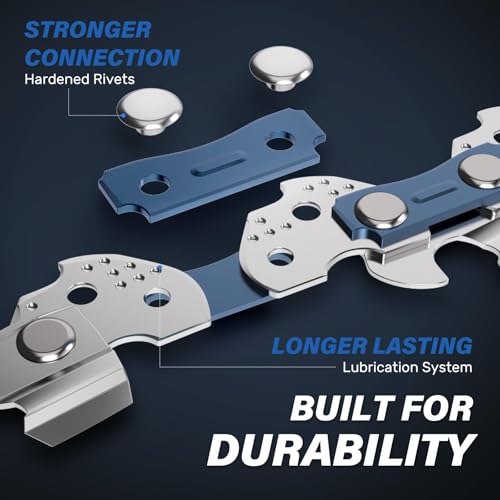 RAINHOL 18 Inch Chainsaw Chain, 62 Drive Links, 3/8\" LP Pitch .050\" Gauge, Fits Echo, Poulan, Craftsman, Homelite and More (4 Pack)