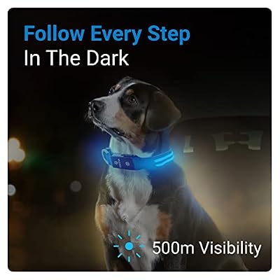 Tractive LED Light Up Dog Collar USB Rechargeable Waterproof (Blue)
