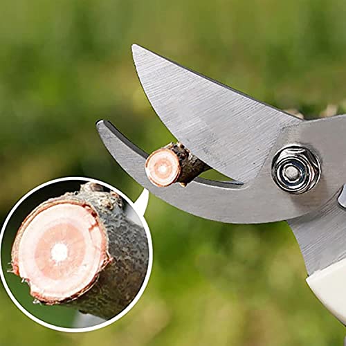 Image of Dinojames Tool Easily Punches Gardening Tool Set Stainless Steel Garden Pruner /Scissors, Pruning Seeds, Flower Cutter and Grass Cutter, 18cm (Multicolour)
