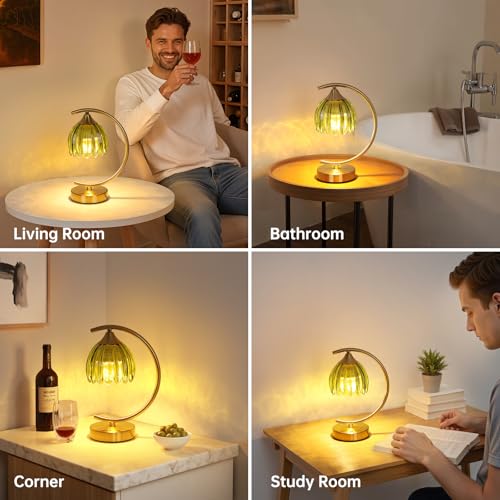 Image of Shenmoyl Tulip Table Lamp, 5200mAh Cordless Touch Control Table Lamp with 3 Color Temps & Stepless Dimming, Rechargeable Battery Table Lamp for Living Room, Bedroom, Office, Shelf (Green Tulip)