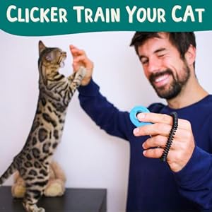The-Click-Crusade-Cat-Training-Card-Game-Guide-to-Clicker-Training-for-Cats-for-Teaching-Tricks-Improving-Communication-and-Bonding-with-your-Kitten-Clicker-not-included - Cucciolini Doodles   The-Click-Crusade-Cat-Training-Card-Game-Guide-to-Clicker-Training-for-Cats-for-Teaching-Tricks-Improving-Communication-and-Bonding-with-your-Kitten-Clicker-not-included