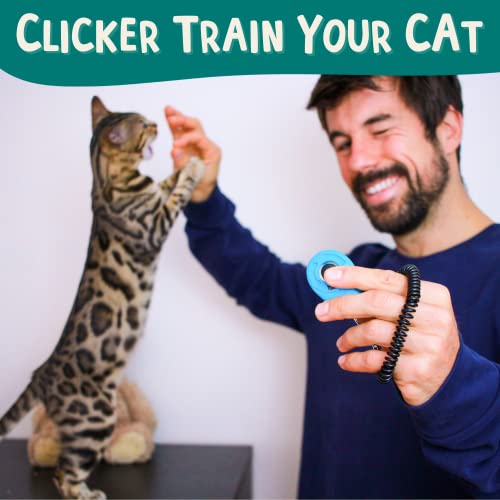 The-Click-Crusade-Cat-Training-Card-Game-Guide-to-Clicker-Training-for-Cats-for-Teaching-Tricks-Improving-Communication-and-Bonding-with-your-Kitten-Clicker-not-included - Cucciolini Doodles   The-Click-Crusade-Cat-Training-Card-Game-Guide-to-Clicker-Training-for-Cats-for-Teaching-Tricks-Improving-Communication-and-Bonding-with-your-Kitten-Clicker-not-included