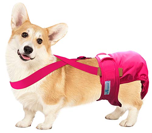 Image of PAW Inspired Dog Diaper Suspenders, Pink, Small /Medium | Small /Medium, Stretchy Adjustable Straps, Velcro Closures, For Female and Male Disposable and Washable Diapers