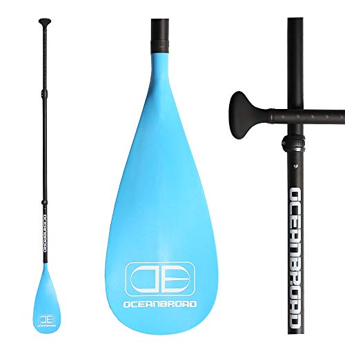 Top 10 Best SUP Paddles in 2022 Reviews Buyer's Guide