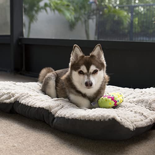Juguete para perros Midlee huevo de pascua pequeño miniatura 6