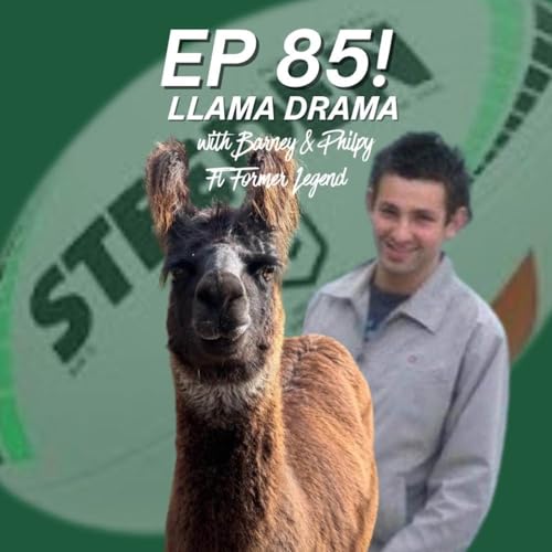 Ep 86 - llama Drama