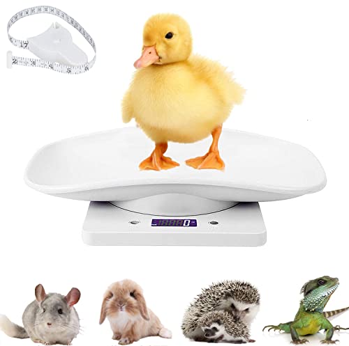 Digitale Haustierwaage Multifunktionswaage Welpenwaage Wiegen kleine Katze Hund, Mini-Futter-Küchenwaage, LCD-Elektronische Waage, umschaltbar g/lb/oz, kleine Tiere, 10 kg Cover