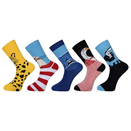 Chaussettes en coton motif animal : lot de 5 paires de chaussettes confortables chat et chien