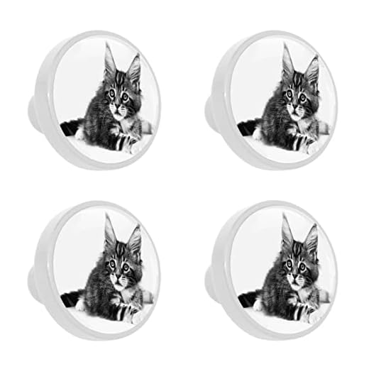 4 st 30 mm Maine Coon kattunge skåpknoppar runda glaslådhandtag dra med skruvar för hem, kontor, kök, badrumsskåp, byrå och skåp (1-1/8 tum)