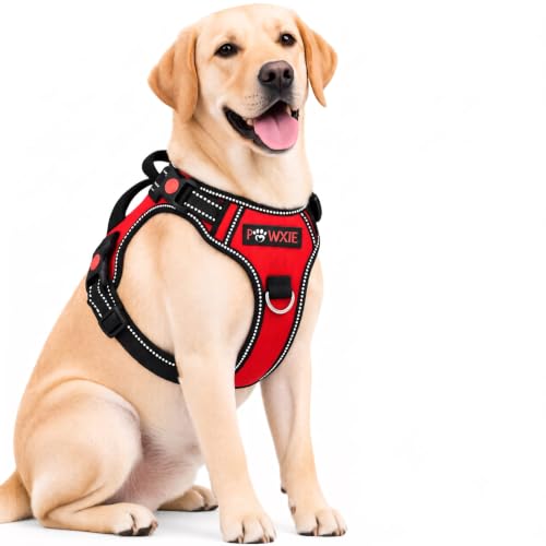 Image of No Pull Dog Chest Belt Harness, Comfortable & Adjustable Size for 14-23 Kg Dogs (Red, Medium)