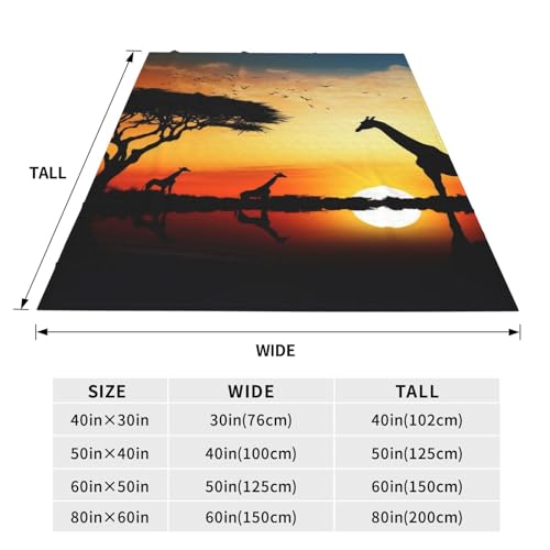 Couverture girafe en flanelle de microfibre pour canapé - 4