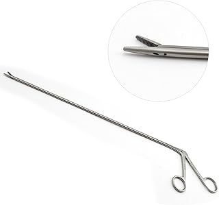 Equine Dental Alligator Forceps Straight 15