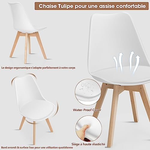 BOLLI Scandinavian Dining Chairs Set of 6, Kitchen Chair, Ideal for Dining Room, Living Room, Bedroom (Tulip, White)