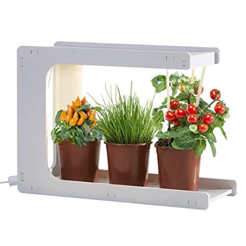 Northpoint LED Pflanzenlampe Pflanzenleuchte Kräutergarten Innengarten Gewächslampe Pflanzenlicht 14W 850 Lumen Grow Timer (C-Form)