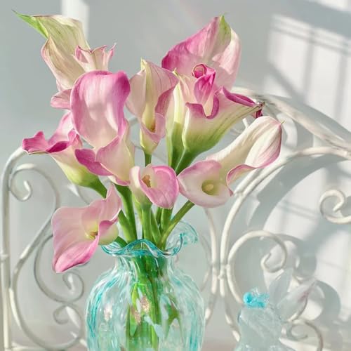 bulbos de alcatraces, bulbos de flores flores tempranas cebollas de cala Plantas resistentes para flores de jardín y balcón, flores frescas, adornos de jardín para exterior Plantas 10pcs