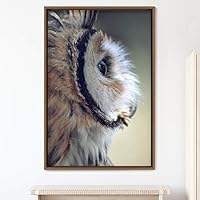 Framed Canvas Wall Art Owl Birds Dramatic Farmhouse/Country Home Office Multicolor Owl Photography - 16x24 inches