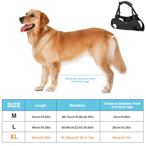 Sangle de transport pour chien de rééducation : harnais de levage ventral réglable