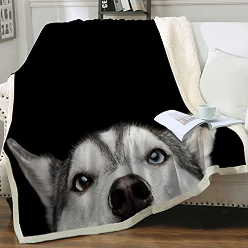 Zevrez Husky Dog Blanket, Cute Husky Gifts Kids Throw Blanket with Dog on It Soft Flannel Blanket Gift for Husky Lovers Boys Girls Sofa Bed(Dog 3, 48