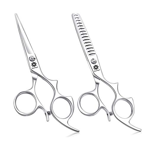 Dream Reach 6.0 inches Hair Scissors/Shears Set â€“ Barber Shears Set Hairdressing Cutting Shears and Thinning/Texturizing Scissors Kit - Japanese Steel Razor Sharp (A-6.0 inch-Silver)