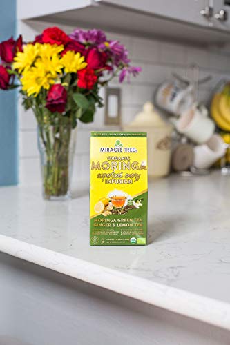 Miracle Tree - Organic Moringa Energy Tea, Super-Caffeinated - Perfect For Coffee Alternative, 2 Pack Bundle, 2X16 Plastic-Free Pyramid Tea Bags (Chai, Green Tea, Ginger/Lemon) #TOP4