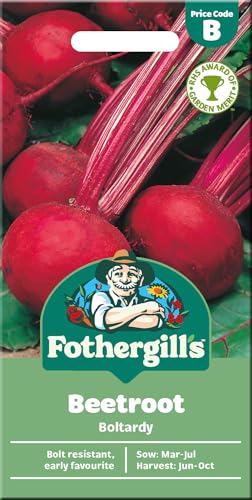 Beetroot Seeds 'Boltardy' for Planting UK - Fothergill's Vegetable -