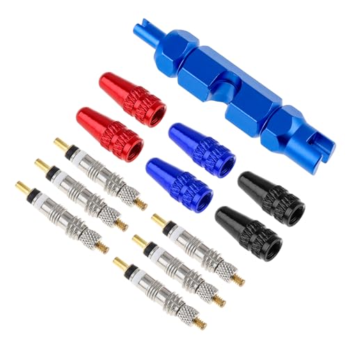 Image of Windance 1 Set 60ml Tubeless Sealant Syringe Kit for Motorcycles Scooters Bicycles with 1 Valve Core Removal Tool, 6pcs French Valve Cores, 6pcs Valve Caps, Tire Repair Tool Injector
