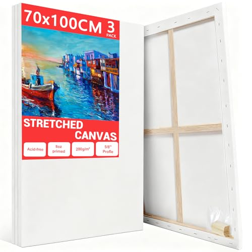 Mokani Stretched Canvas for Painting, 3 Pack 70x100cm Blank Large Canvas, Acid-Free Cotton 280GSM Triple Primed Painting Canvases for Acrylic Oil Watercolor, Artist & Beginner