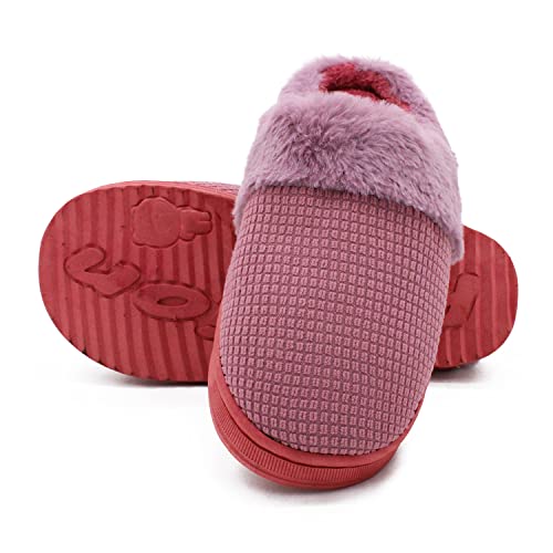 Image of VRITRAZ Women's Slip On Closed Toe Warm Winter House Clog Slipper (Pink, UK-6)