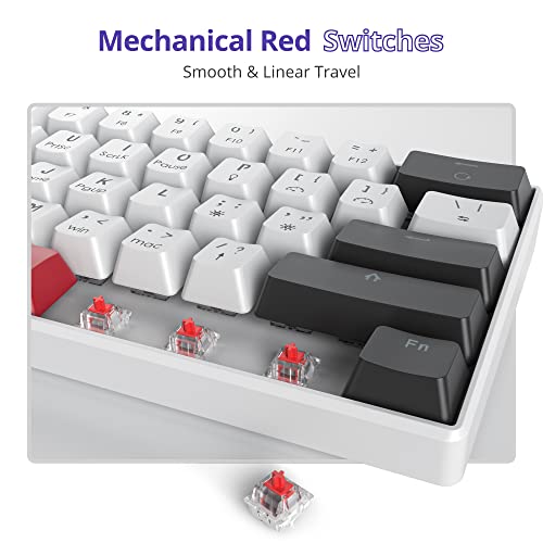 Image of 60% Mechanical Keyboard Mini Gaming Keyboard 60 Percent with Red Switch Wired Type-C Cable Mini Keyboard with Blue Light Backlight for Laptop /PC /Mac Gamer