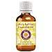 Deve Herbes Pure Saffron Essential Oil (Crocus sativus) with Internal Plastic Euro Dropper 100% Therapeutic Grade Steam Distilled for Personal Care 2ml (0.06 oz)
