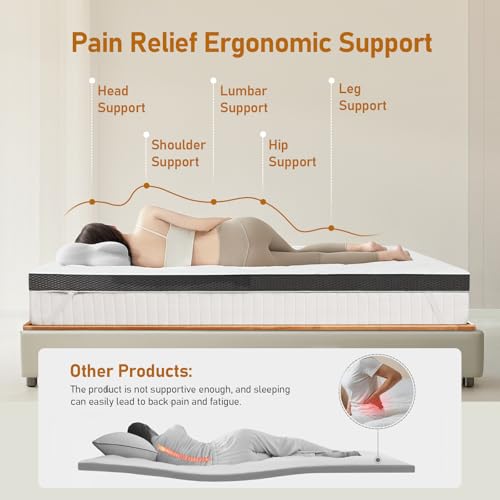 image for Glendan Firm Mattress Topper Queen: 3 Inch High Density Bed Topper - E