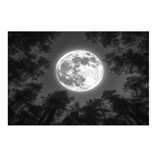 Poster décoratif sur toile TERUEA Silhouette de Forêt Pleine Lune Noir et Blanc 70x100cm