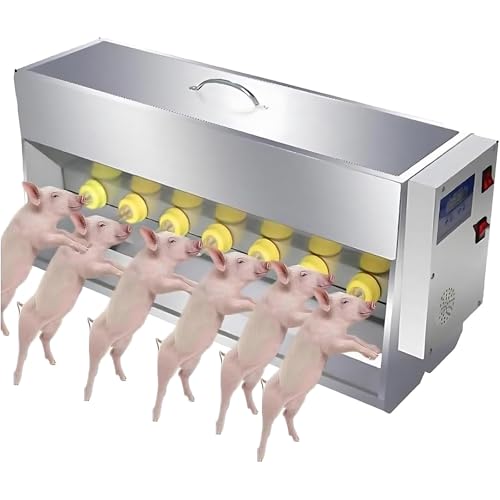 Alimentador automático de leche para lechones en acero inoxidable de 15L y 20L 2
