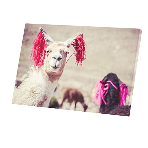Photo de lama au Pérou tableau sur toile pour une atmosphère douce et colorée
