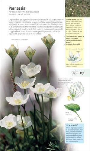 Riconoscere I Fiori Spontanei D'italia E D'europa - 3