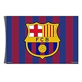 Desert Cactus FC Barcelona Poster Barça Football Club Soccer Futbol 11 inches by 17 inches Decoration Room (11x17) (Design D, Paper)